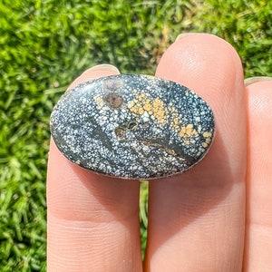 New Lander Variscite Cab