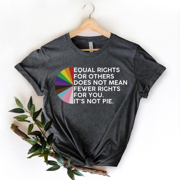Equal Rights for Others Does Not Mean Fewer Rights for You It's Not Pie T-shirt, LGBT Rainbow Sweatshirt,Equal Rights Shirt,Human Rights Tee