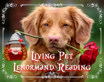 Lettura chiaroveggente di Living Pet Lenormand con le carte dell'Oracolo - ACCURATE PET PSYCHIC!