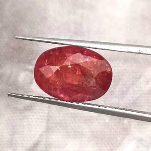 May include: A deep red oval gemstone with facets, held by tweezers.