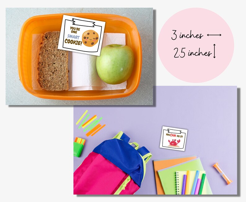 May include: Two motivational stickers with cute illustrations and encouraging messages: "You're one smart cookie!" and "You can do it!" The stickers are 3 inches wide and 2.5 inches tall.