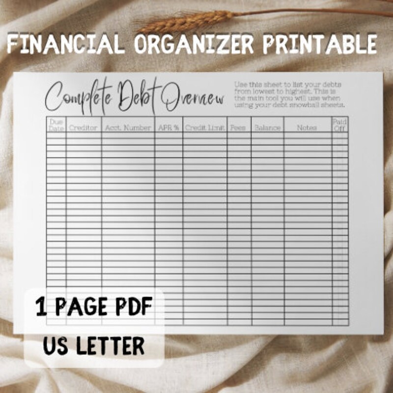 Debt Overview Printable - Etsy