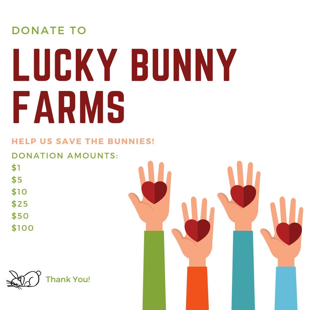 Art & Collectibles Digital Drawing & Illustration Donate to Lucky Bunny