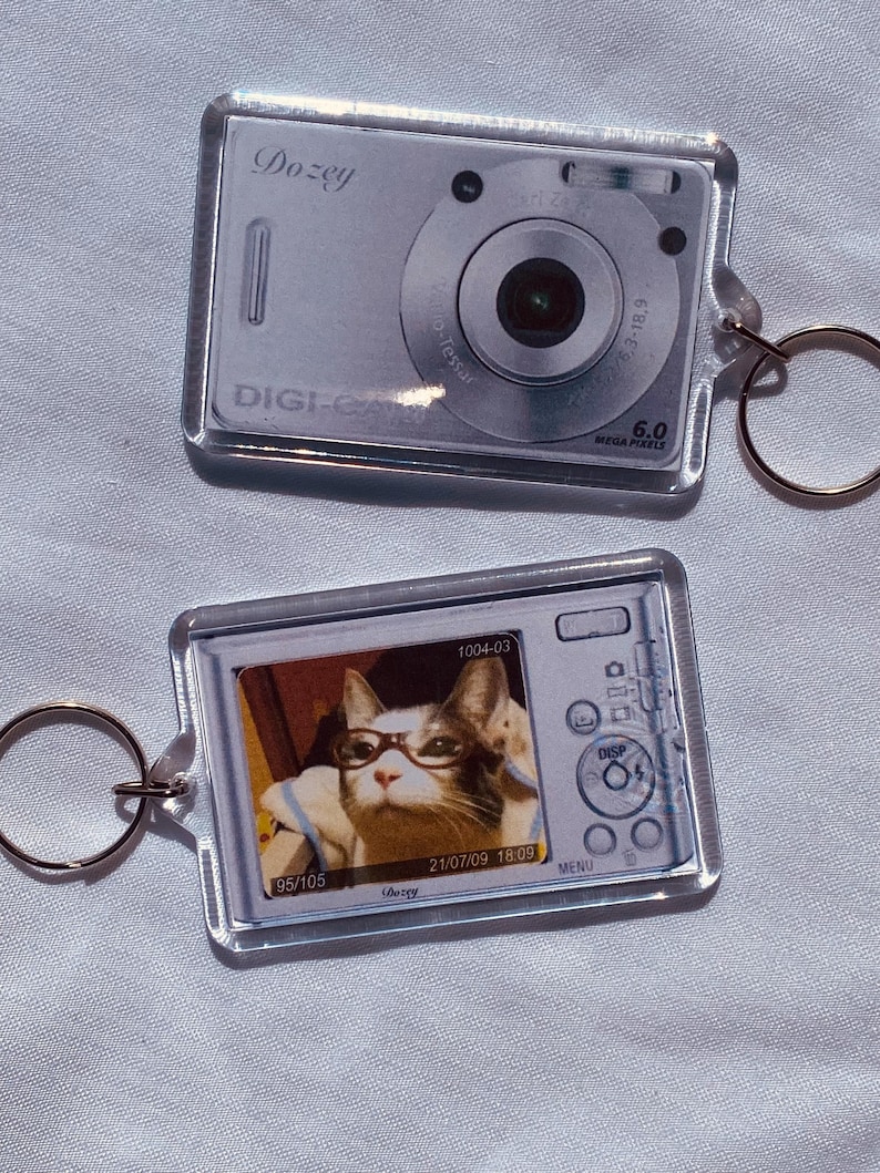 May include: Two clear acrylic keychains shaped like digital cameras. One keychain features the word "Dozey" and "DIGI-CAM". The other keychain has a photo of a cat wearing glasses. Both keychains have a gold-colored keyring.