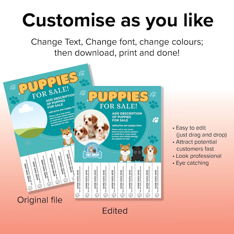 Image 9 for Puppy For Sale Flyer Templates