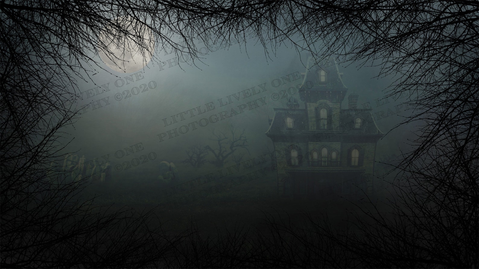 Zoom Meeting Backdrops, Halloween Background, Spooky Background, Foggy