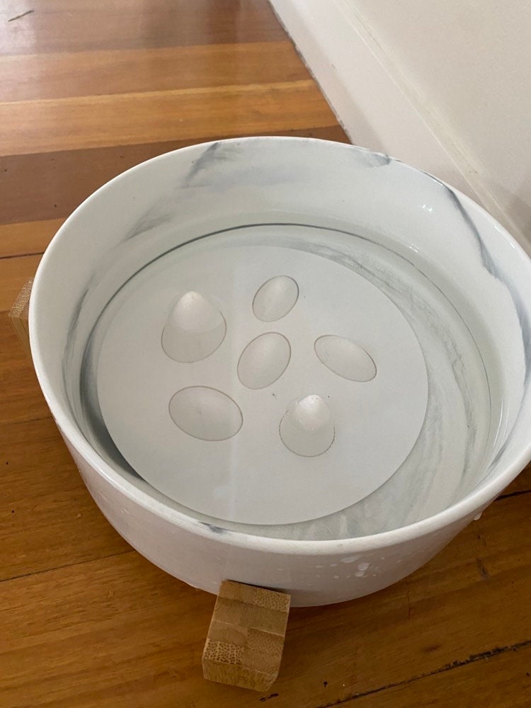 Dogs water shop bowl turns pink