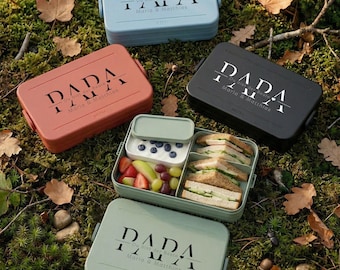 Mepal lunchbox met bento-inzetstuk, Beste Papa, Vaderdagcadeau, grote lunchbox, cadeau voor mannen, papa cadeau