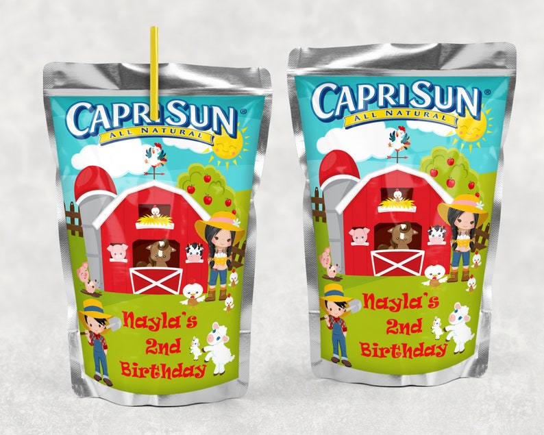 Farmyard Theme Chip Bag Party Favor Chip Bags Farmyard Etsy