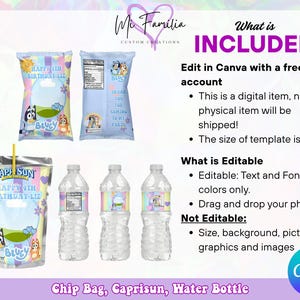Bluey Birthday Bundle, Bluey Chip Bags, Bluey Water Bottle, Bluey Caprisun