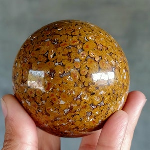 Esfera de jaspe de cobra real amarilla con estampado de puntos naturales de 65 mm, única y rara, para curación con cristales metafísicos, para regalar, para decoración del hogar