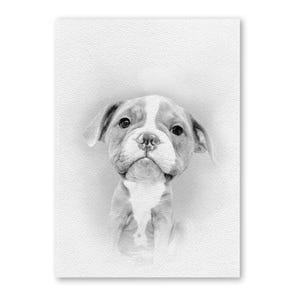 Big Head Pet Caricature From Photo, Custom Portrait for your Dog or Cat