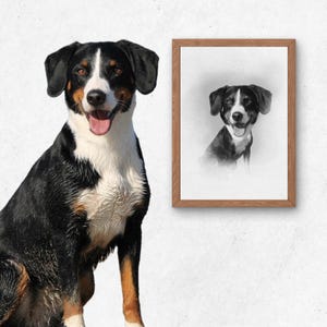Pet Caricature Sketch Portrait for Your Dog or Cat