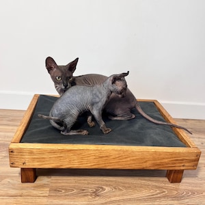 Modern Wooden Cat Bed – Large Luxury Pet Furniture | Cute Cat Pillow | Contemporary Cat Bed Furniture, Pet Cat Bed, Cat Cave Alternative