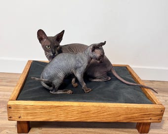 Modern Wooden Cat Bed – Large Luxury Pet Furniture | Cute Cat Pillow | Contemporary Cat Bed Furniture, Pet Cat Bed, Cat Cave Alternative
