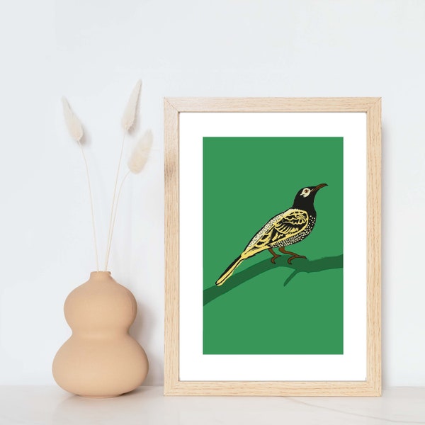 Honeyeater on green background - home decor - bird art print - honeyeater print - living room - wall art - digital drawing