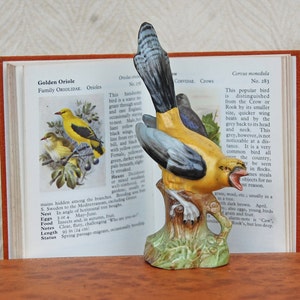 Antique Golden Oriole Bird Statue - Vintage Bird Figurine - Bird Decor - Bird Ornament - Bird Decoration