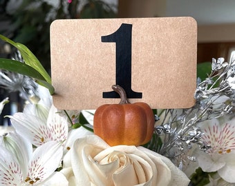 Wedding Table Cards | Pumpkin Wedding Decor | Wedding Table Numbers | Personalized Table Numbers | Fall Wedding | Wedding Decor