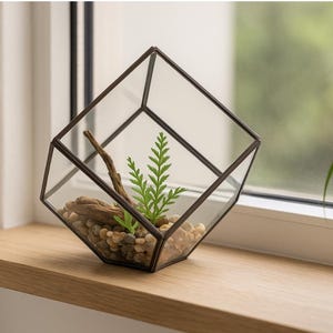 Geometric Glass Terrarium | Modern Minimalist Home Decor | Table Decor | Housewarming Gifts immagine 1