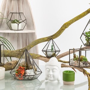 Geometric Glass Terrarium | Modern Minimalist Home Decor | Table Decor | Housewarming Gifts immagine 10