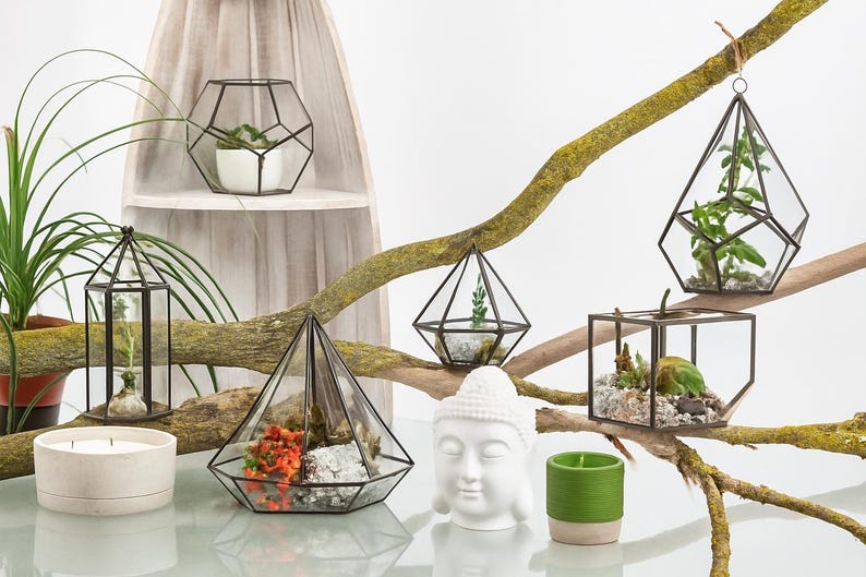 Geometric Glass Terrarium | Modern Minimalist Home Decor | Table Decor | Housewarming Gifts immagine 10