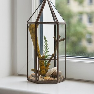 Geometric Glass Terrarium | Modern Minimalist Home Decor | Table Decor | Housewarming Gifts immagine 9