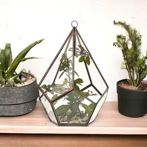 Geometric Glass Terrarium | Modern Minimalist Home Decor | Table Decor | Housewarming Gifts immagine 8