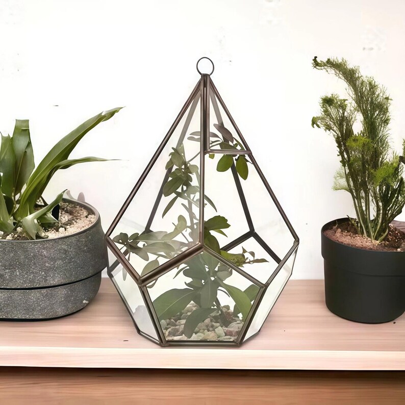 Geometric Glass Terrarium | Modern Minimalist Home Decor | Table Decor | Housewarming Gifts immagine 8