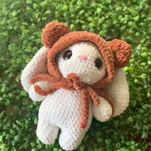 Bunny with Teddy Bear Hood