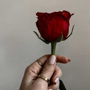 May include: A hand holding a single red rose with green leaves. The hand is wearing a gold ring with a small inscription.
