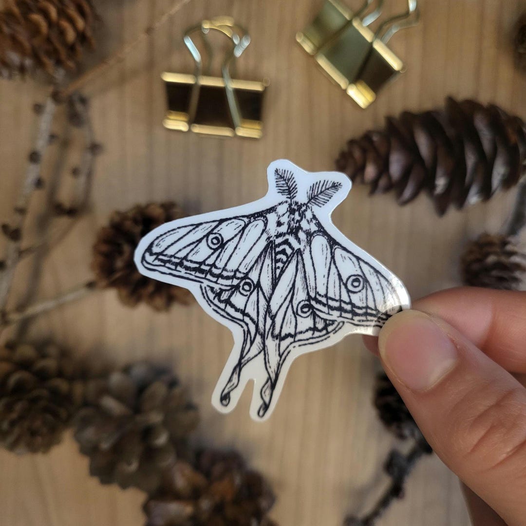 Luna Moth Sticker – Hand Drawn Vinyl Sticker - Etsy