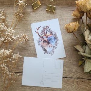 Rentier in der Natur mit Blumen - Kunstdruck Postkarte Grußkarte