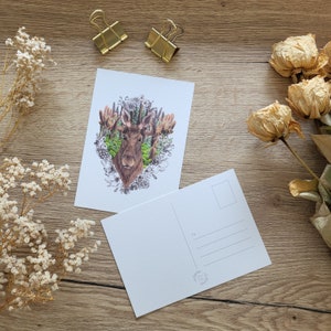 Elch in der Natur mit Blumen - Kunstdruck Postkarte Grußkarte