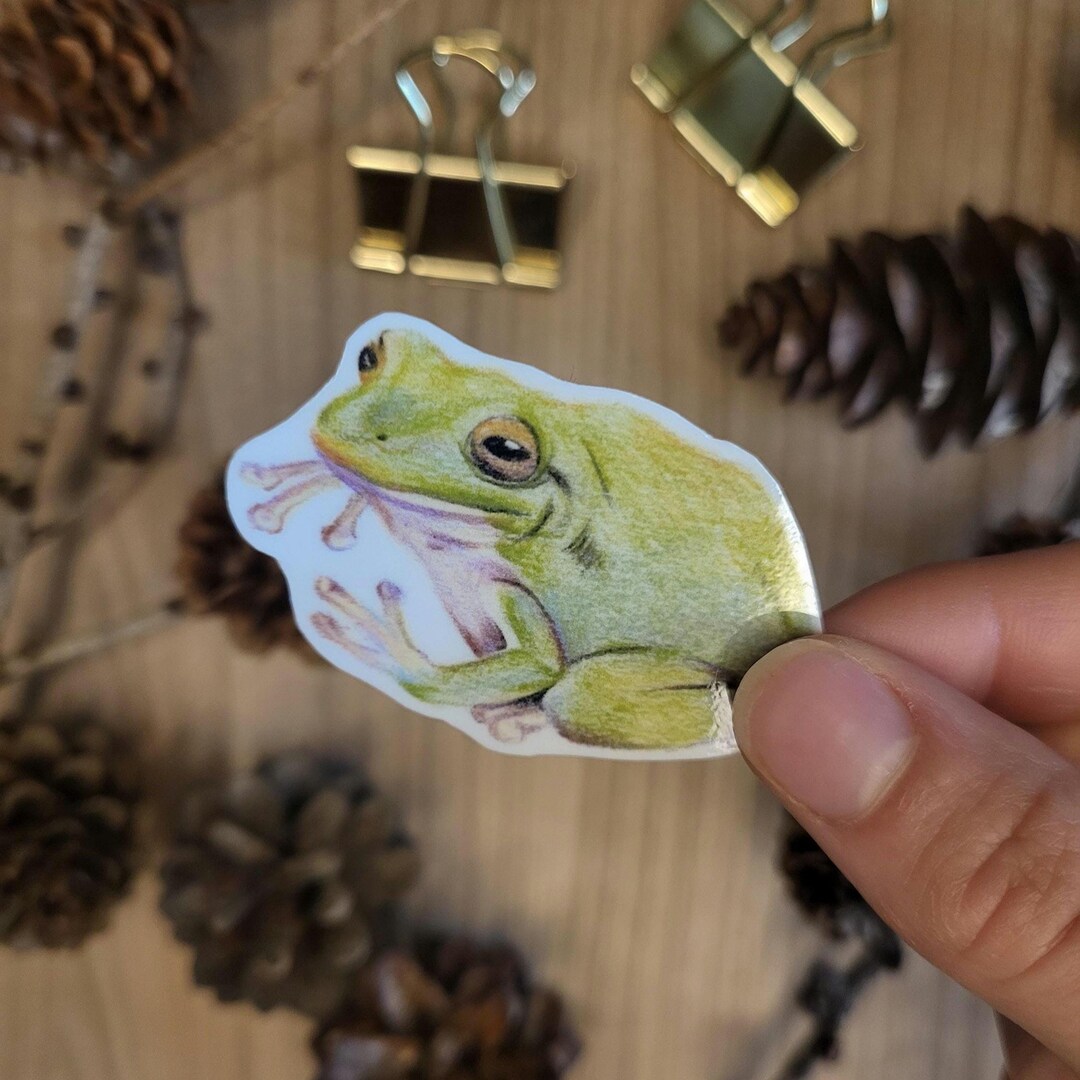 Hand Drawn Frog Sticker – Glossy Vinyl Decal - Etsy