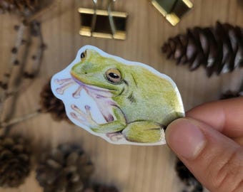 Hand Drawn Frog Sticker – Glossy Vinyl Decal