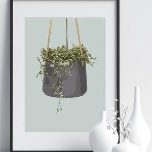 Thyme Plant Print - Hanging Pot - Digital Print