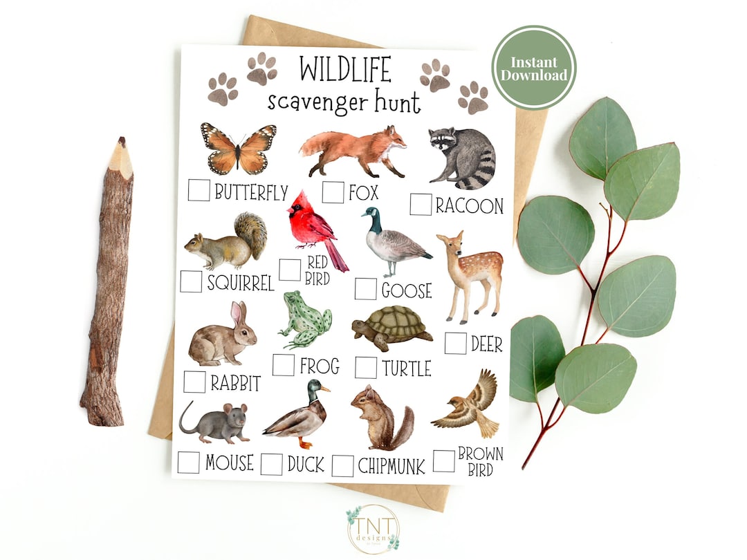 Animal Scavenger Hunt Printable Scavenger Hunt Nature Scavenger Hunt Animal Scavenger Hunt Printable Scavenger Hunt Nature Scavenger Hunt