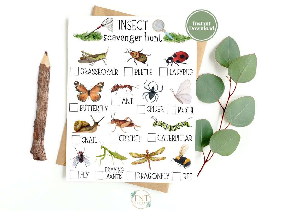 Bug Scavenger Hunt  Printable Scavenger Hunt  Nature