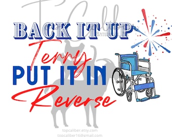 Back It Up Terry 4th of July Fireworks PNG SVG Sublimation