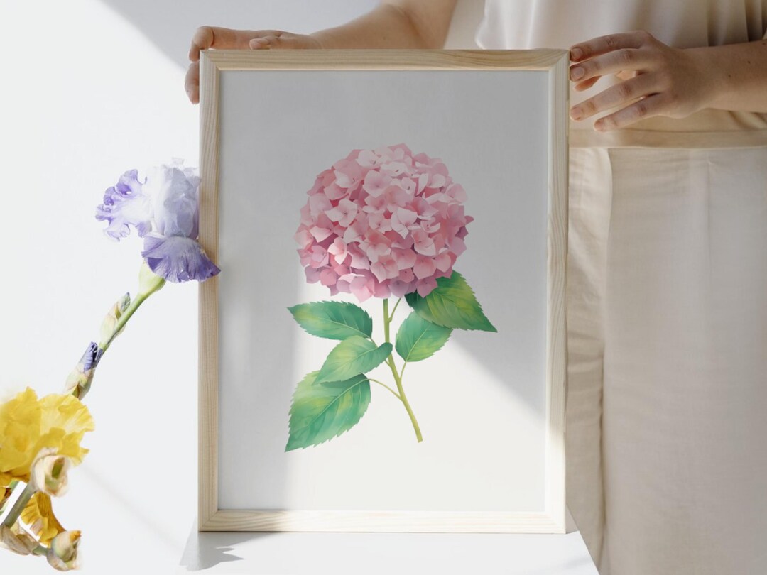 Pink Hydrangea Watercolor Print, Botanical Wall Art, Floral Digital ...