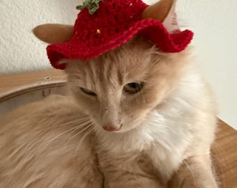 sombrero de gato de fresa