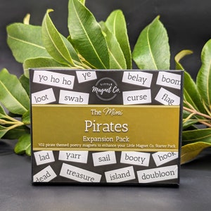 Aimants poétiques : le pack d'extension Mini pirates : embarquez avec des mots qui capturent l'esprit aventurier du jeu de cape et d'épée en haute mer !