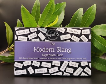 Modern Slang Poetry Magnets | Expansion Pack