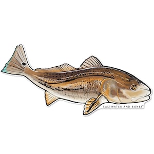 REDFISH Sticker, 6 Inch