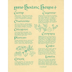 Nine Healing Herbs Poster