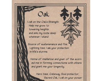 Oak Poster