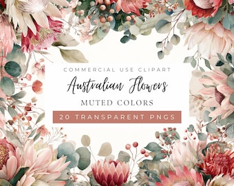 Imágenes prediseñadas de flores australianas, tonos tierra, ramos de novia en acuarela, motivos florales australianos, colores suaves (uso comercial)