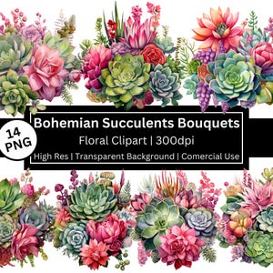 Imágenes prediseñadas de suculentas, conjunto de 14 PNG, imágenes prediseñadas florales, colores vivos, rosa, imágenes prediseñadas de suculentas de acuarela, cactus, uso comercial, se permite POD.