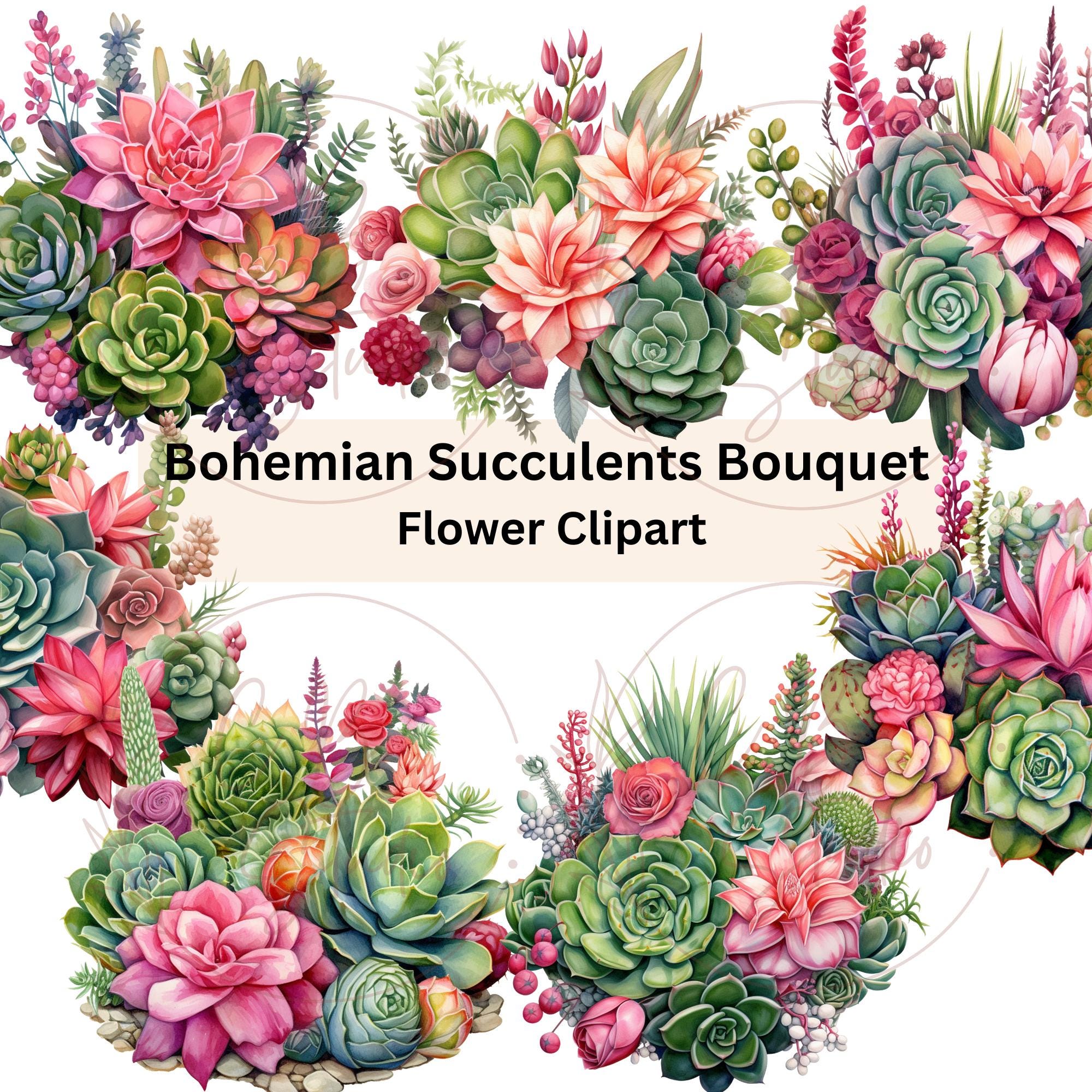 Watercolor Succulents Clipart, Floral PNG Set, Colorful Bouquet, Pink ...