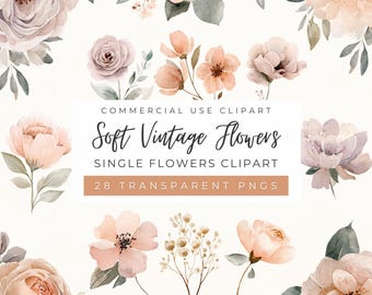 Imágenes prediseñadas de flores vintage, colores suaves, flores bohemias, boda de primavera, morado, rosa empolvado (uso comercial)